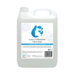 2Work Hand Wash Antibacterial 5 Litre