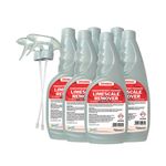 2Work Limescale Remover 750Ml Pk6