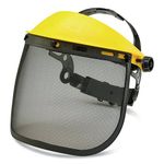 Beeswift Mesh Visor