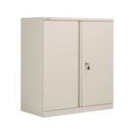 Ff Bisley 2Dr Cupboard Grey 1016Mm Empty