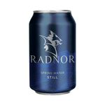 Radnor Sprng Wtr Still 330ml Can P24