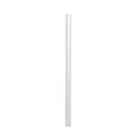 Spine Bars 6Mm A4 Transparent 2931/19