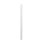Spine Bars 6Mm A4 Transparent 2931/19