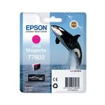 Epson Ink Cartridge Vivid Magenta T7603