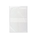 Grip Seal Bg Wrton 229X324 Pk1000 Ga-132