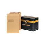 Guardian Env Sc/S W 12.75X9 Pk250 F24203