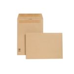New Guardian Env P/S 12.7X9 Pk250 L26303