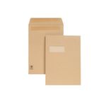 Guardian Env Ps/S W 12.75X9 Pk250 M27503