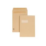 Guardian Env Ps/S W 12.75X9 Pk250 M27503