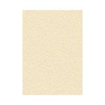Decadry Paper 95Gsm Pk100 Parchment Cham