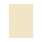 Decadry Paper 95Gsm Pk100 Parchment Cham
