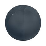 Leitz Ergo Cosy Sitting Ball Gry