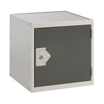 Ff Dd Cube Locker W300Xd300Xh300Mm D Gry