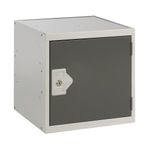 Ff Dd Cube Locker W300Xd300Xh300Mm D Gry