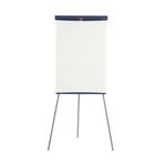 Nobo Magnetic Flipchart Easel