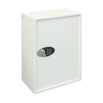 Phoenix Cygnus Key Deposit Safe 300 Hook