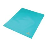 Nyrex Folder A4 Pvc Blue P25 Ca4C