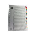 Np Mylar Index A4 1-31 Multi