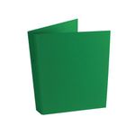 Np Ring Binder A4 Green