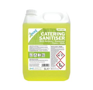 2Work Catering Sanitiser 5 Litre Each