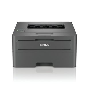 Brother HL-L2400DW Mono Printer