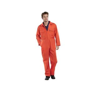 Beeswift Click Pc Bsuit Org 34In