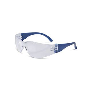 Beeswift Everson Safety Spectacle