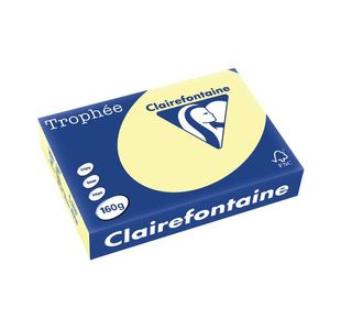 Trophee Card A4 160gm Canary Pk250