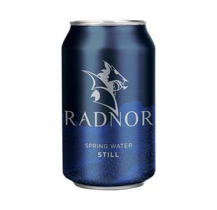 Radnor Sprng Wtr Still 330ml Can P24