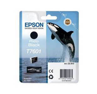 Epson Ink Cartridge Photo Black T7601