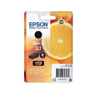 Epson 33 Black Inkjet Cartridge