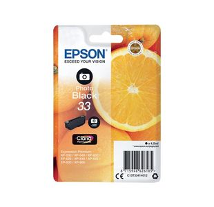 Epson 33 Photo Black Ink Cartridge