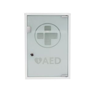 Mediana Aed Metal Wall Cabinet