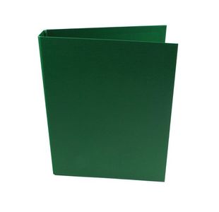 Ringbinder A4 2Ring Pvc Green