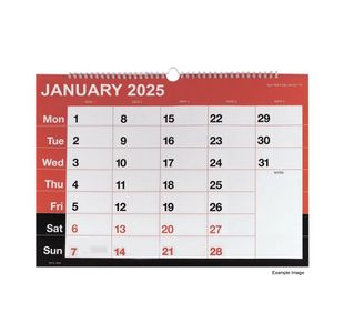 Wirebound MTV Calendar A3 2025