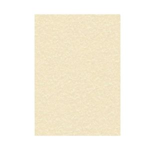 Decadry Paper 95Gsm Pk100 Parchment Cham