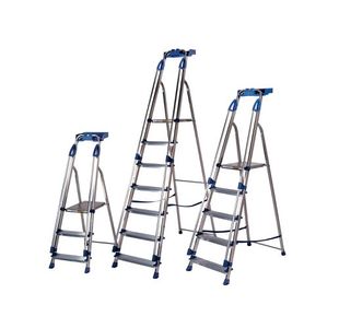 Fd 6 Tread Platform Ladder 311496