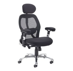 Sandro mesh back executive chair