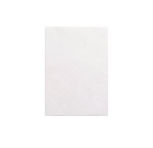 Tyvek Peal/Seal Env C5 Wht Pk100