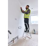 Werner 2 Tread Stepladder with High Handrail Aluminium 7400218L