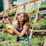 Avery Ultra Resistant Labels 74x105mm (160 Pack) B3427-20