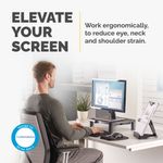 Fellowes Standard Monitor Stand Graphite 9169301