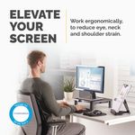 Fellowes Standard Monitor Stand Graphite 9169301