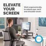 Fellowes Premium Monitor Stand Black 9169401