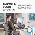 Fellowes Premium Monitor Stand Plus Graphite 9169501