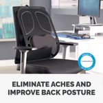 Fellowes Professional Series Mesh Back Support Black 8029901