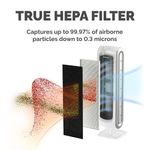 Fellowes DX5 Small True HEPA Filter 9287001
