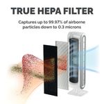 Fellowes DX5 Small True HEPA Filter 9287001