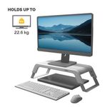 Fellowes Hana LT Monitor Stand White - 100016997