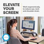 Fellowes Hana Monitor Stand Black 100016996